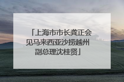 上海市市长龚正会见马来西亚沙捞越州副总理沈桂贤