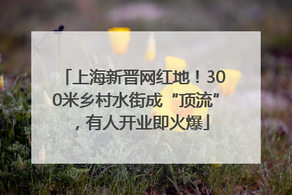 上海新晋网红地！300米乡村水街成“顶流”，有人开业即火爆
