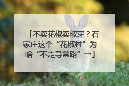 不卖花椒卖椒芽？石家庄这个“花椒村”为啥“不走寻常路”→