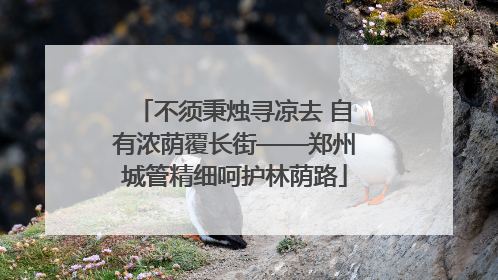 不须秉烛寻凉去 自有浓荫覆长街——郑州城管精细呵护林荫路