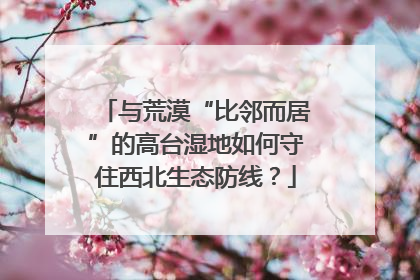 与荒漠“比邻而居”的高台湿地如何守住西北生态防线？