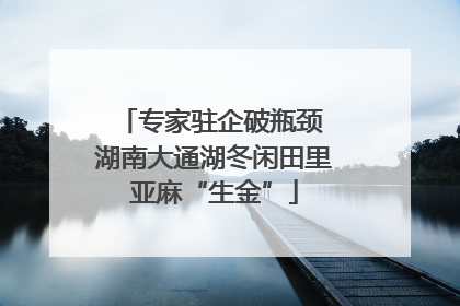 专家驻企破瓶颈 湖南大通湖冬闲田里亚麻“生金”