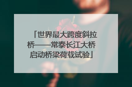 世界最大跨度斜拉桥——常泰长江大桥启动桥梁荷载试验
