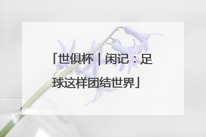 世俱杯｜闲记：足球这样团结世界