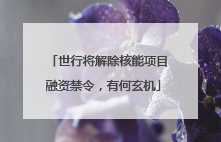 世行将解除核能项目融资禁令，有何玄机