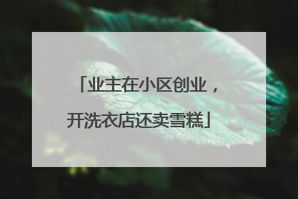 业主在小区创业，开洗衣店还卖雪糕