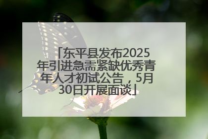 东平县发布2025年引进急需紧缺优秀青年人才初试公告，5月30日开展面谈