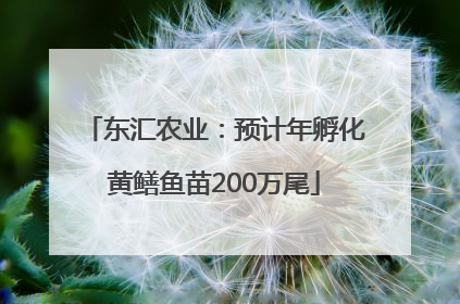 东汇农业：预计年孵化黄鳝鱼苗200万尾
