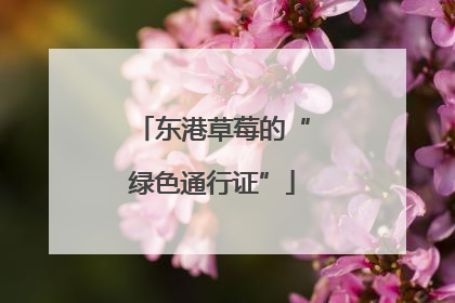 东港草莓的“绿色通行证”