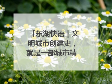 东湖快语｜文明城市创建史，就是一部城市精神成长史