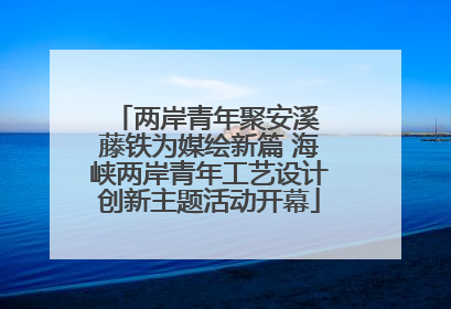 两岸青年聚安溪 藤铁为媒绘新篇 海峡两岸青年工艺设计创新主题活动开幕