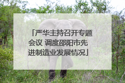 严华主持召开专题会议 调度邵阳市先进制造业发展情况