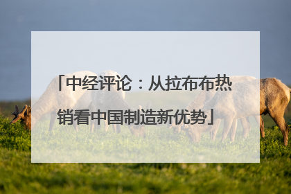 中经评论：从拉布布热销看中国制造新优势