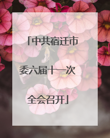 中共宿迁市委六届十一次全会召开