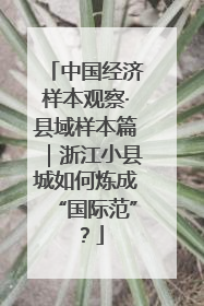 中国经济样本观察·县域样本篇｜浙江小县城如何炼成“国际范”？