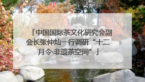 中国国际茶文化研究会副会长张仲灿一行调研“十二月令·非遗茶空间”