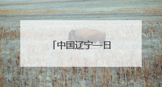 中国辽宁—日本经贸合作说明会在东京举行