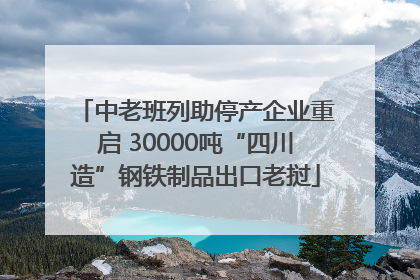 中老班列助停产企业重启 30000吨“四川造”钢铁制品出口老挝