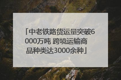 中老铁路货运量突破6000万吨 跨境运输商品种类达3000余种