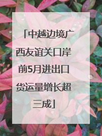中越边境广西友谊关口岸前5月进出口货运量增长超三成