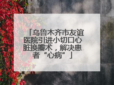 乌鲁木齐市友谊医院引进小切口心脏换瓣术，解决患者“心病”