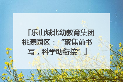 乐山城北幼教育集团桃源园区：“聚焦前书写，科学助衔接”