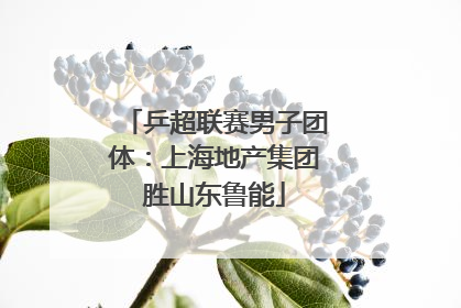 乒超联赛男子团体：上海地产集团胜山东鲁能