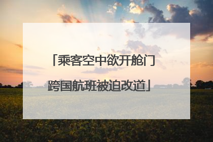 乘客空中欲开舱门 跨国航班被迫改道