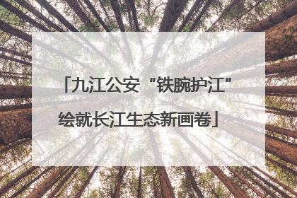 九江公安“铁腕护江”绘就长江生态新画卷