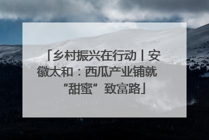 乡村振兴在行动丨安徽太和：西瓜产业铺就“甜蜜”致富路