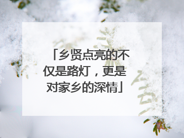 乡贤点亮的不仅是路灯，更是对家乡的深情