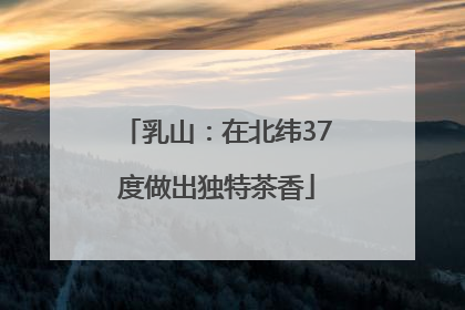 乳山：在北纬37度做出独特茶香