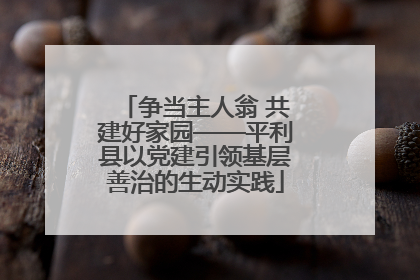 争当主人翁 共建好家园——平利县以党建引领基层善治的生动实践