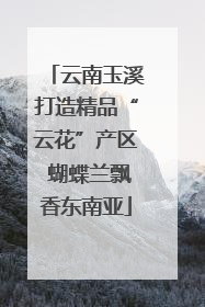 云南玉溪打造精品“云花”产区 蝴蝶兰飘香东南亚