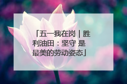五一我在岗｜胜利油田：坚守 是最美的劳动姿态