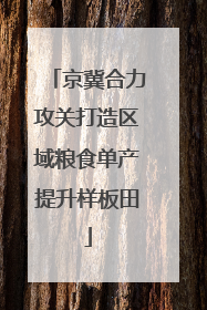 京冀合力攻关打造区域粮食单产提升样板田