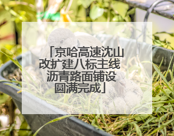 京哈高速沈山改扩建八标主线 沥青路面铺设圆满完成
