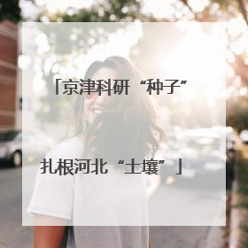 京津科研“种子”扎根河北“土壤”