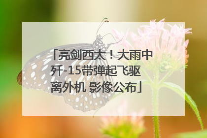 亮剑西太！大雨中歼-15带弹起飞驱离外机 影像公布