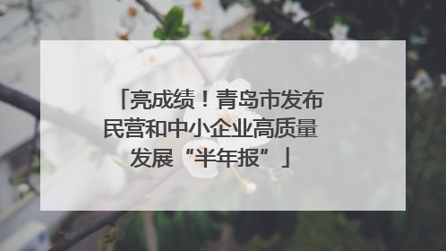 亮成绩！青岛市发布民营和中小企业高质量发展“半年报”