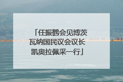 任振鹤会见博茨瓦纳国民议会议长凯奥拉佩采一行