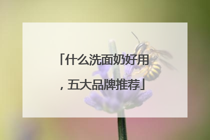 什么洗面奶好用，五大品牌推荐