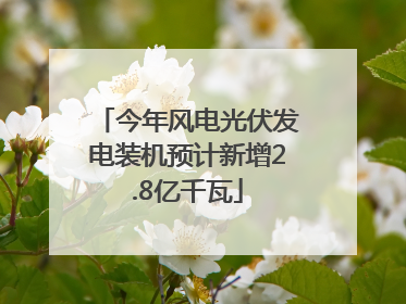 今年风电光伏发电装机预计新增2.8亿千瓦