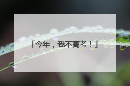 今年，我不高考！