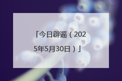 今日辟谣（2025年5月30日）