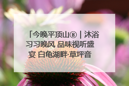今晚平顶山⑧｜沐浴习习晚风 品味视听盛宴 白龟湖畔·草坪音乐会激情上演