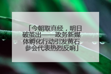 今朝取真经，明日破茧出——政务新媒体孵化行动引发黄石参会代表热烈反响