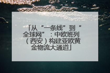从“一条线”到“全球网”：中欧班列（西安）构建亚欧黄金物流大通道