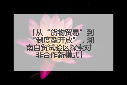 从“货物贸易”到“制度型开放”，湖南自贸试验区探索对非合作新模式