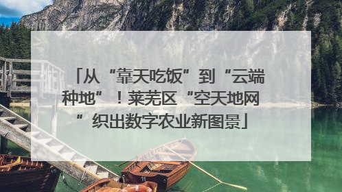 从“靠天吃饭”到“云端种地”！莱芜区“空天地网”织出数字农业新图景